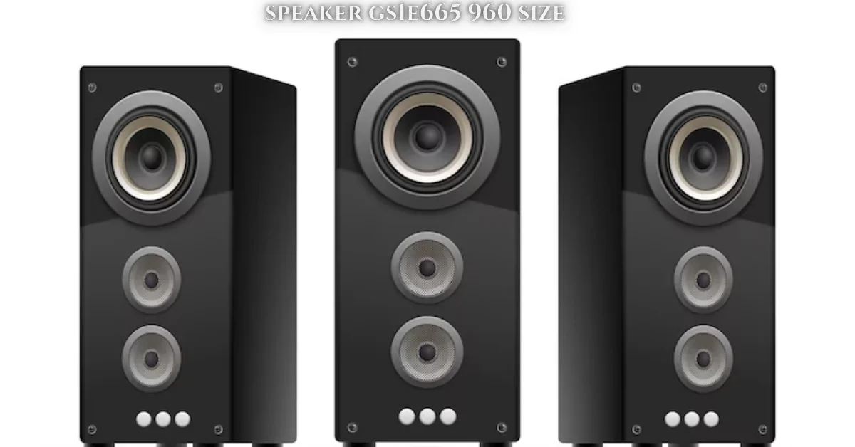 Speaker GS1E665 960 Size: Full Review & Key Features - Crispme