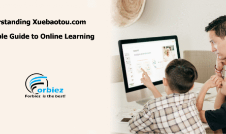 Understanding Xuebaotou.com: A Simple Guide to Online Learning