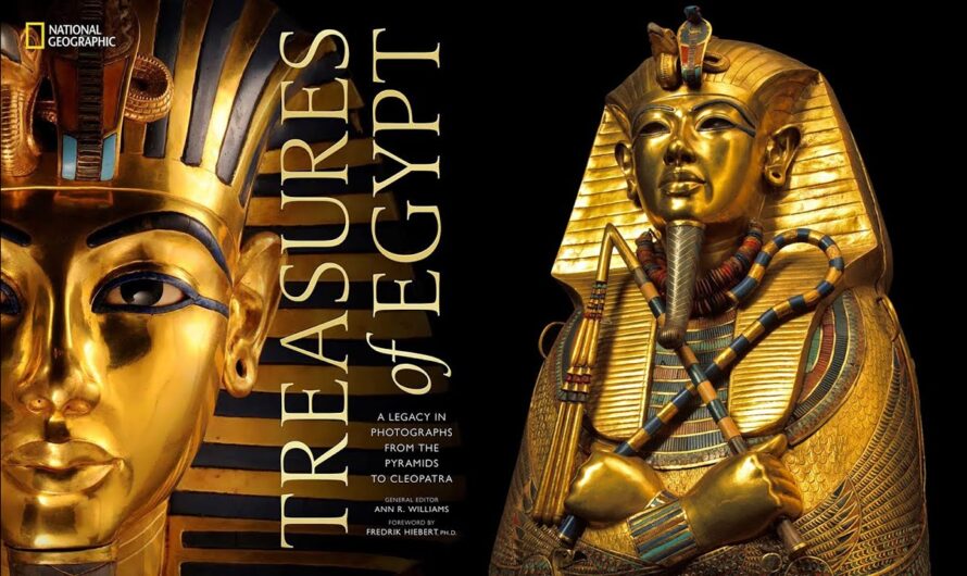 The Amazing World of Beauty Archives: Treasures from the Past