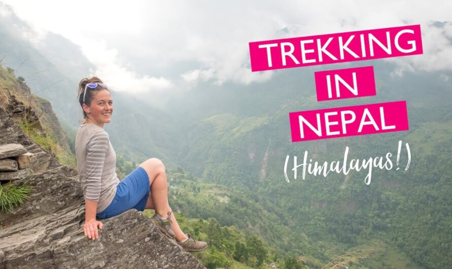 Amazing Travel Adventures: Stories from Around the World