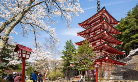 Best Times to Visit Japan
