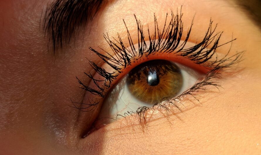 Is Mascara Bat Poop? The Truth About Your Favorite Eye Makeup