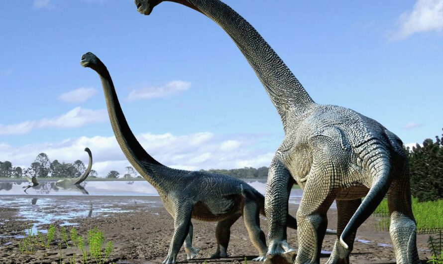 Why Did God Create Dinosaurs? A Simple Guide to Understanding These Amazing Creatures