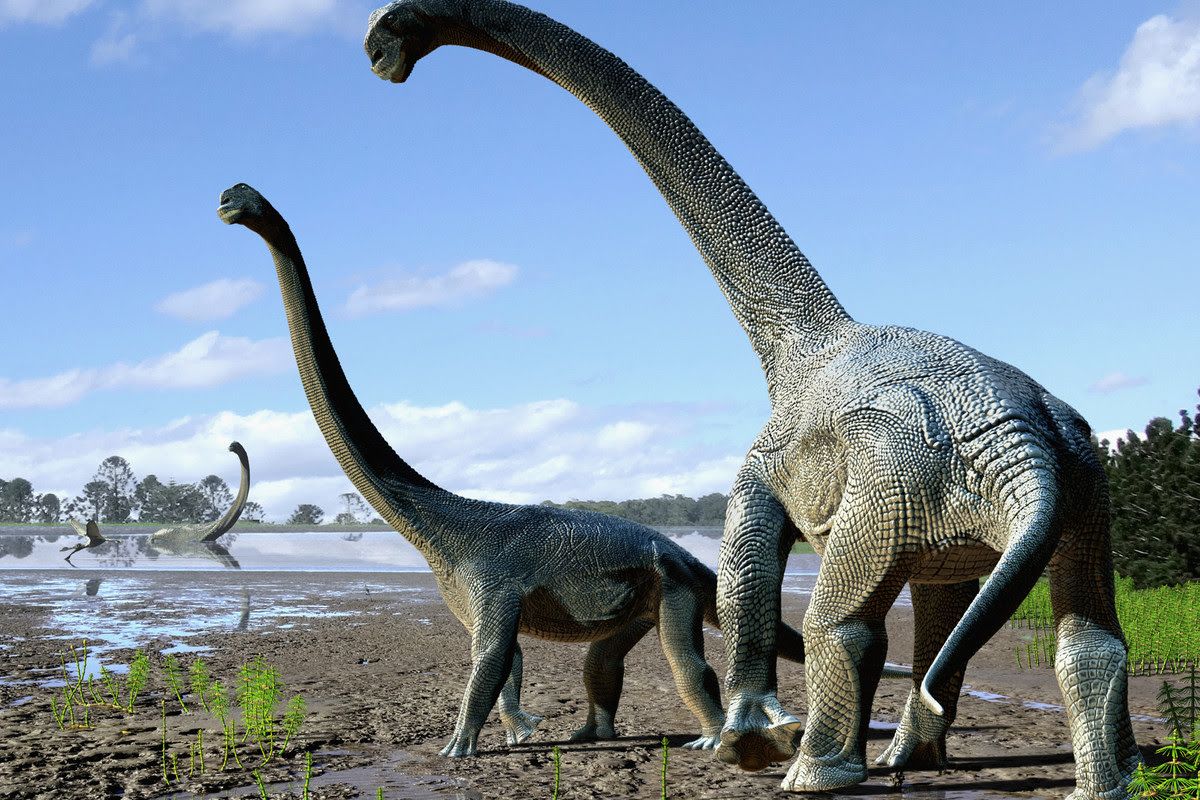 When were dinosaurs created and are they mentioned in Scripture? | Grace Fellowship Church - NE