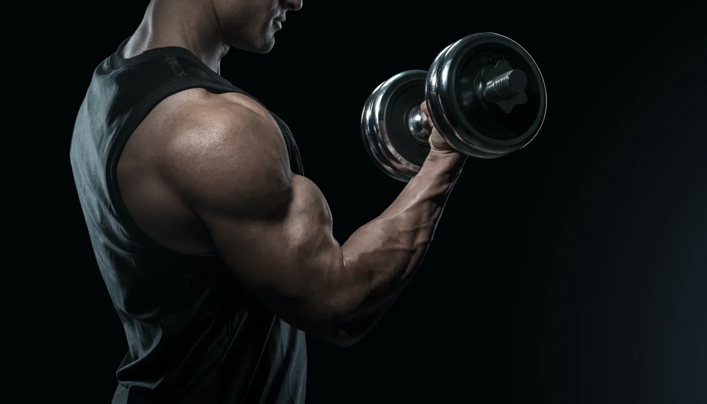 The Coolcicada PPL 6-Day Bodybuilding Program - Steel Supplements